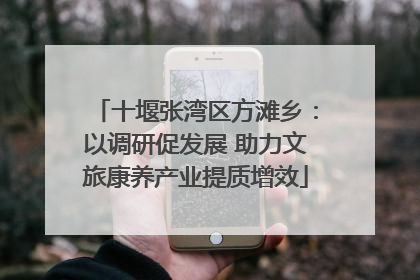 十堰张湾区方滩乡：以调研促发展 助力文旅康养产业提质增效