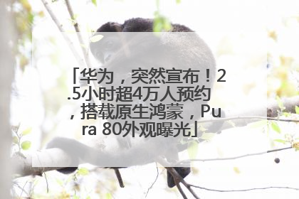 华为，突然宣布！2.5小时超4万人预约，搭载原生鸿蒙，Pura 80外观曝光
