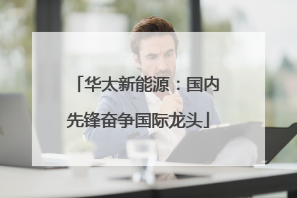 华太新能源：国内先锋奋争国际龙头