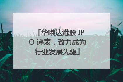 华曦达港股 IPO 递表，致力成为行业发展先驱