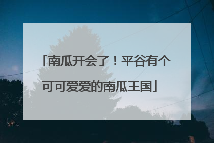 南瓜开会了！平谷有个可可爱爱的南瓜王国