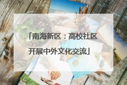 南海新区：高校社区开展中外文化交流