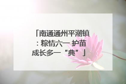 南通通州平潮镇：粽情六一 护苗成长多一“典”