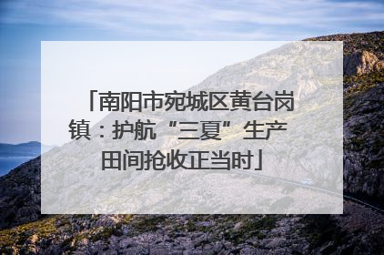 南阳市宛城区黄台岗镇：护航“三夏”生产 田间抢收正当时