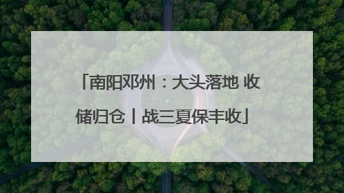 南阳邓州：大头落地 收储归仓丨战三夏保丰收