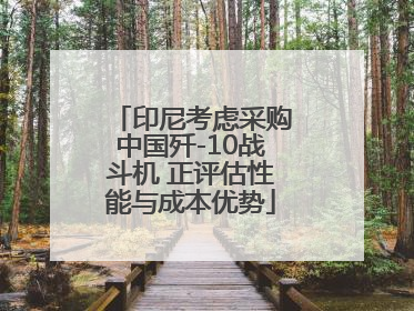 印尼考虑采购中国歼-10战斗机 正评估性能与成本优势
