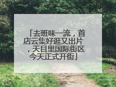 去班味一流，首店云集好逛又出片，天目里国际街区今天正式开街