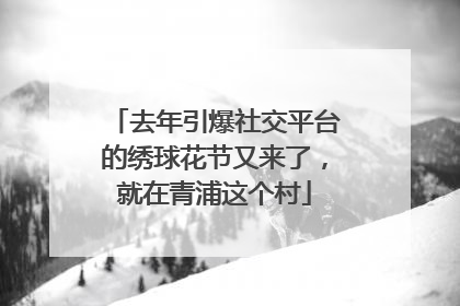 去年引爆社交平台的绣球花节又来了，就在青浦这个村