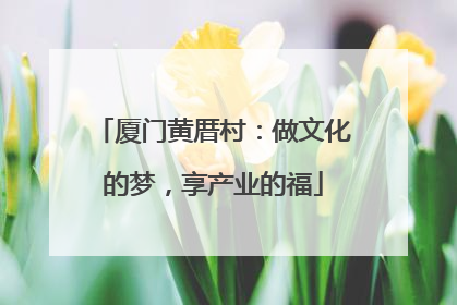 厦门黄厝村：做文化的梦，享产业的福
