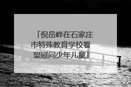 倪岳峰在石家庄市特殊教育学校看望慰问少年儿童