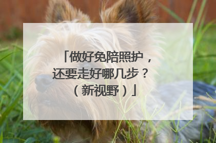 做好免陪照护，还要走好哪几步？（新视野）