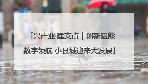 兴产业·建支点｜创新赋能 数字领航 小县城迎来大发展