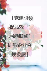 党建引领提质效 “局港联动”护航企业合规发展