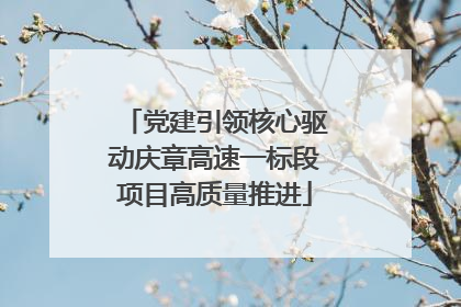 党建引领核心驱动庆章高速一标段项目高质量推进
