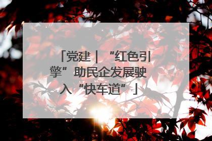 党建｜“红色引擎”助民企发展驶入“快车道”