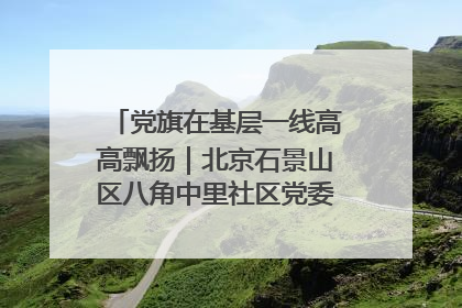 党旗在基层一线高高飘扬｜北京石景山区八角中里社区党委：用脚步丈量民生