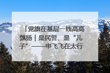 党旗在基层一线高高飘扬｜是民警、是“儿子”——申飞飞在太行山中的一线坚守