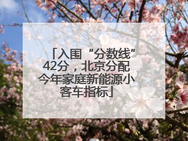 入围“分数线”42分，北京分配今年家庭新能源小客车指标