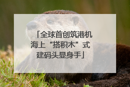 全球首创筑港机海上“搭积木”式建码头显身手