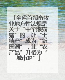 全省首部畜牧业地方性法规是关于“中华熊猫猪”的，让“土特产”成为“新国潮”，让“农产品”升格为“城市IP”