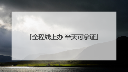 全程线上办 半天可拿证