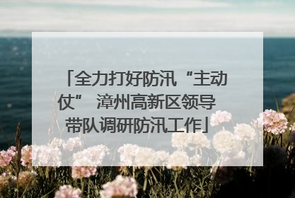 全力打好防汛“主动仗” 漳州高新区领导带队调研防汛工作