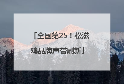 全国第25！松滋鸡品牌声誉刷新