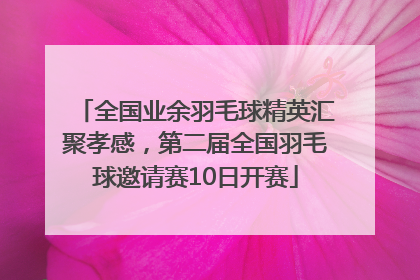 全国业余羽毛球精英汇聚孝感，第二届全国羽毛球邀请赛10日开赛