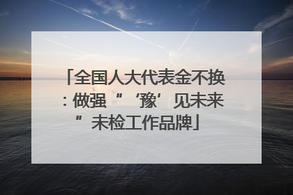 全国人大代表金不换：做强“‘豫’见未来”未检工作品牌
