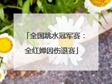 全国跳水冠军赛：全红婵因伤退赛