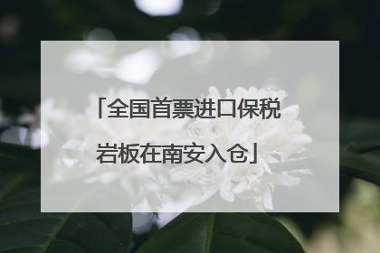 全国首票进口保税岩板在南安入仓