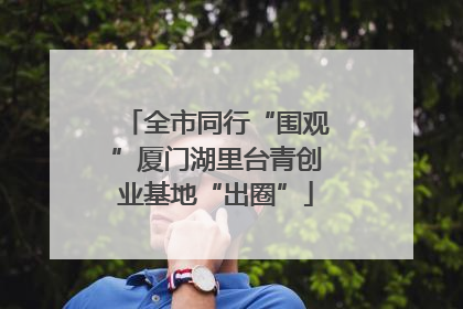 全市同行“围观”厦门湖里台青创业基地“出圈”