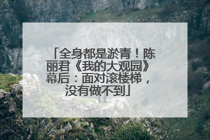 全身都是淤青！陈丽君《我的大观园》幕后：面对滚楼梯，没有做不到