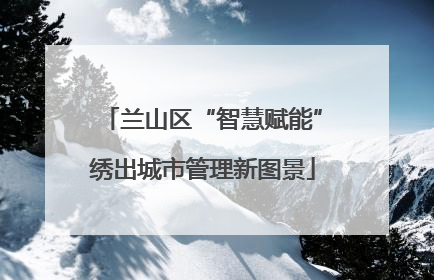兰山区“智慧赋能”绣出城市管理新图景