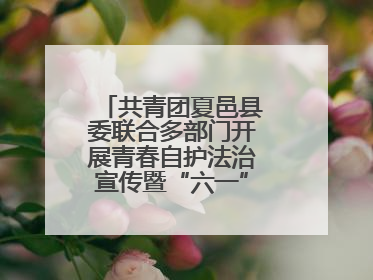 共青团夏邑县委联合多部门开展青春自护法治宣传暨“六一”主题日活动