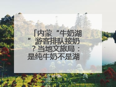 内蒙“牛奶湖”游客排队接奶？当地文旅局：是纯牛奶不是湖水，可放心喝