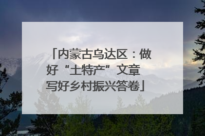 内蒙古乌达区：做好“土特产”文章 写好乡村振兴答卷