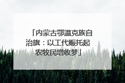 内蒙古鄂温克族自治旗：以工代赈托起农牧民增收梦