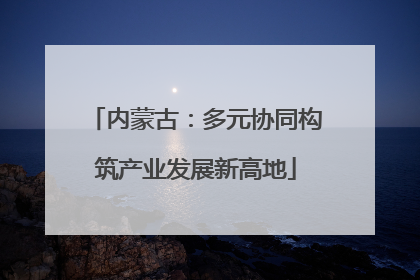 内蒙古：多元协同构筑产业发展新高地