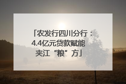 农发行四川分行：4.4亿元贷款赋能夹江“粮”方