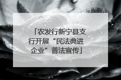 农发行新宁县支行开展“民法典进企业”普法宣传