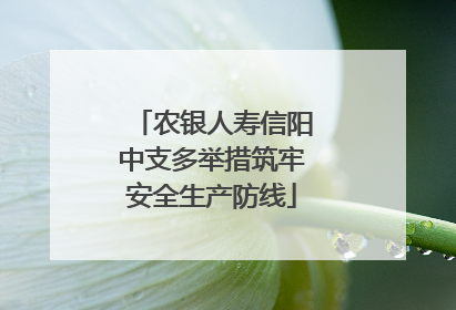 农银人寿信阳中支多举措筑牢安全生产防线