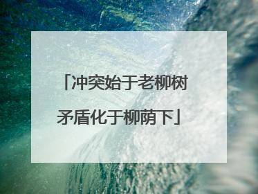 冲突始于老柳树 矛盾化于柳荫下