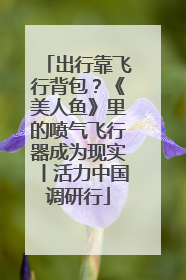 出行靠飞行背包？《美人鱼》里的喷气飞行器成为现实丨活力中国调研行