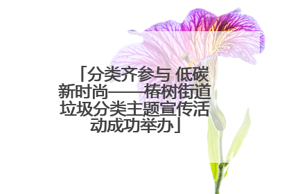分类齐参与 低碳新时尚——椿树街道垃圾分类主题宣传活动成功举办