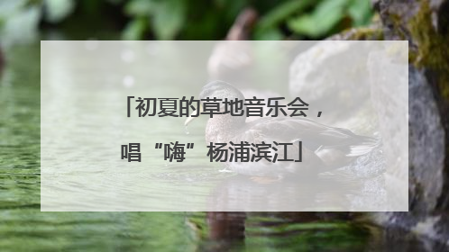 初夏的草地音乐会，唱“嗨”杨浦滨江
