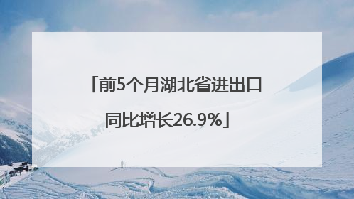 前5个月湖北省进出口同比增长26.9%
