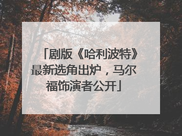 剧版《哈利波特》最新选角出炉，马尔福饰演者公开