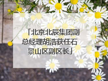 北京北辰集团副总经理胡浩获任石景山区副区长