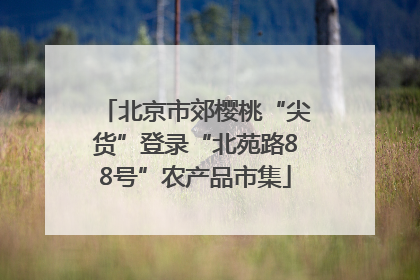 北京市郊樱桃“尖货”登录“北苑路88号”农产品市集